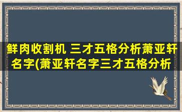 鲜肉收割机 三才五格分析萧亚轩名字(萧亚轩名字三才五格分析 - 以鲜肉收割机为主线*其命运性格特点)